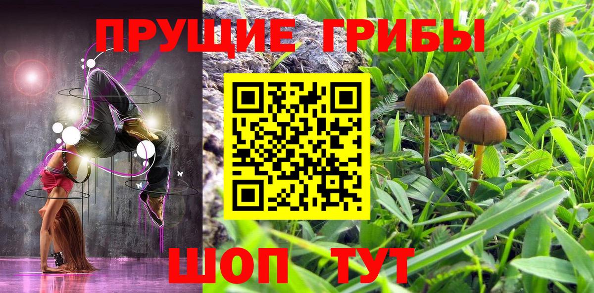 Галлюциногенные грибы Magic Shrooms Пушкино